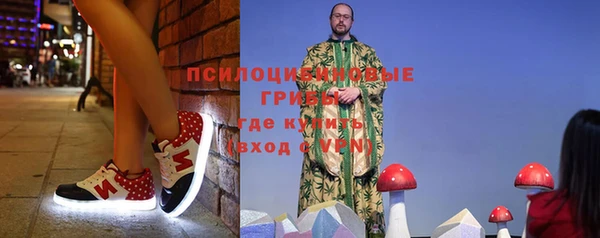 гидропоника Нягань