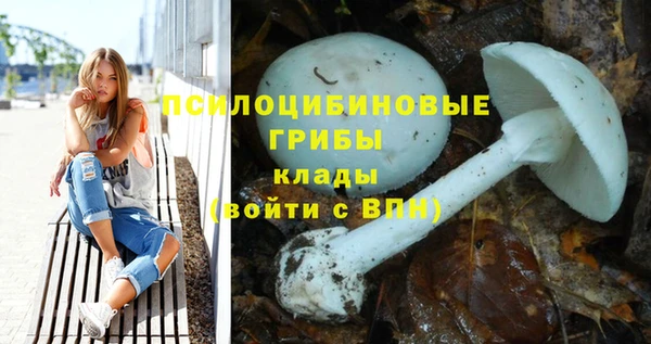 метадон Няндома