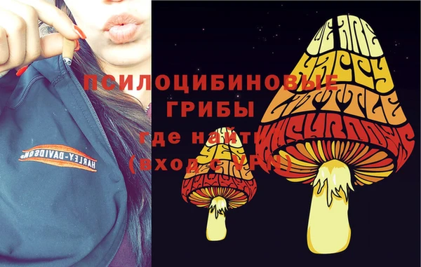 альфа пвп Нязепетровск