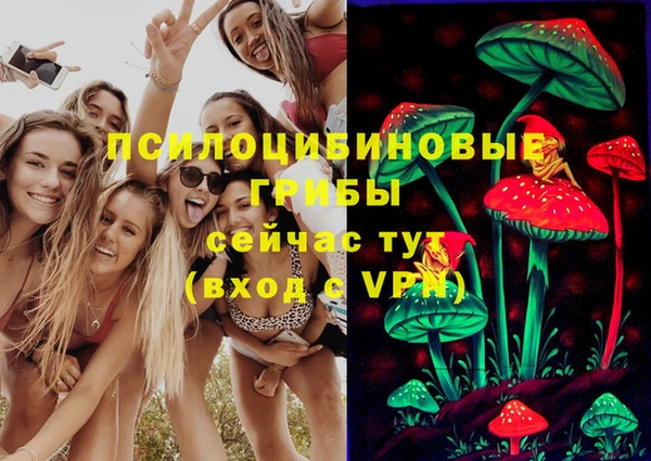 гидропоника Нягань