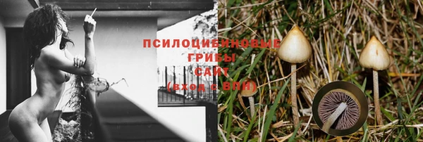 альфа пвп Нязепетровск