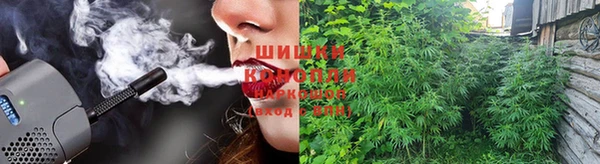 метадон Няндома