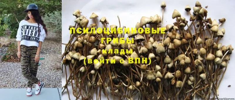 Псилоцибиновые грибы GOLDEN TEACHER  Белоярский 