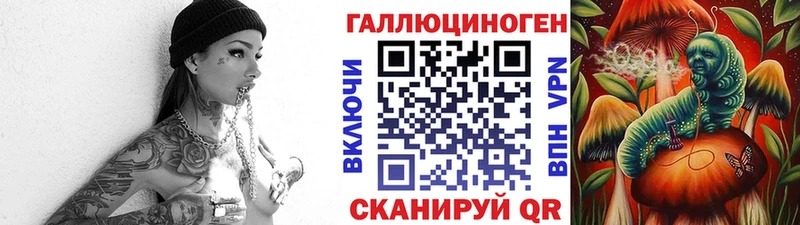 закладки Белоярский Псилоцибиновые грибы Cubensis